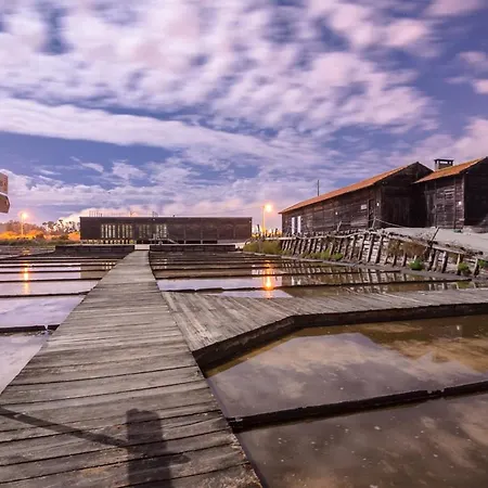 Ocean 52 By Rent4all דירה *