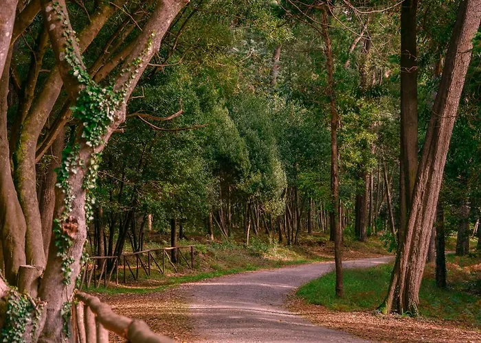 Ocean 52 By Rent4all *